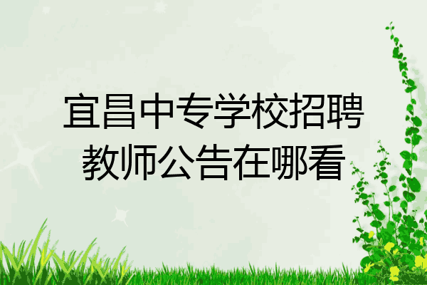 宜昌中专学校招聘教师公告在哪看
