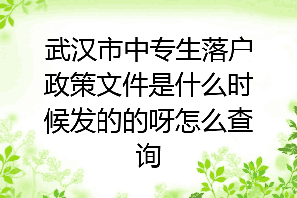武汉市中专生落户政策文件是什么时候发的的呀怎么查询