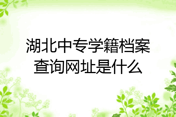 湖北中专学籍档案查询网址是什么