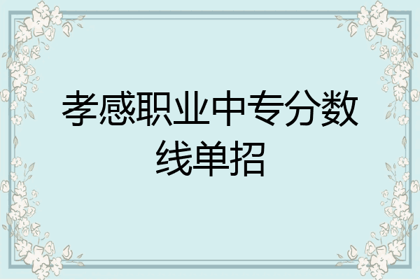 孝感职业中专分数线单招