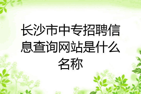 长沙市中专招聘信息查询网站是什么名称