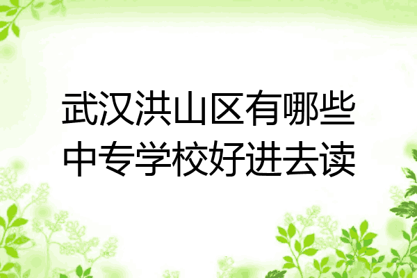武汉洪山区有哪些中专学校好进去读