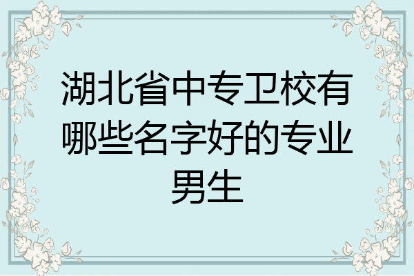 湖北省中专卫校有哪些名字好的专业男生