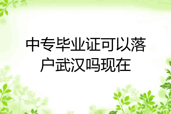 中专毕业证可以落户武汉吗现在