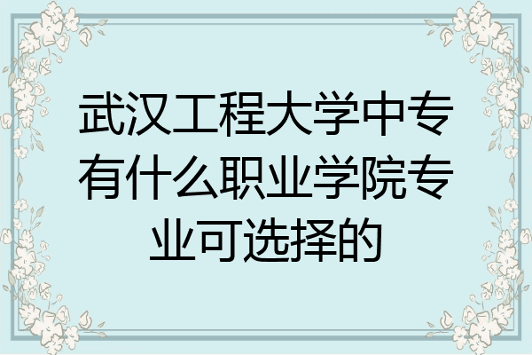 武汉工程大学中专有什么职业学院专业可选择的