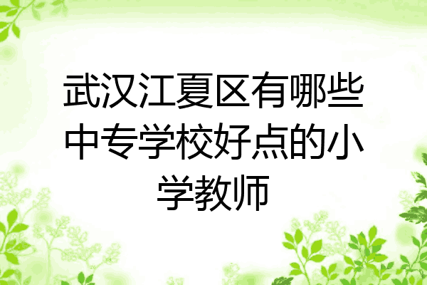 武汉江夏区有哪些中专学校好点的小学教师