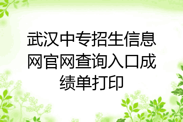 武汉中专招生信息网官网查询入口成绩单打印