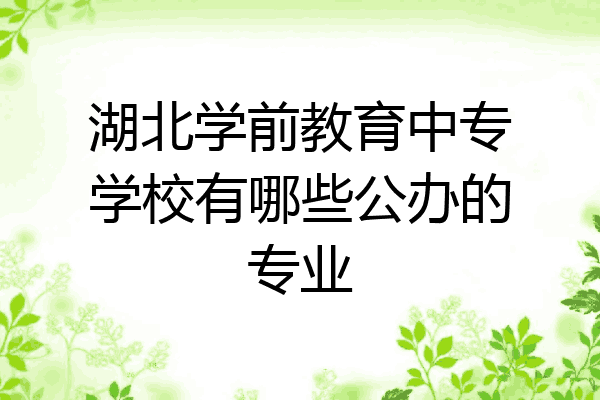 湖北学前教育中专学校有哪些公办的专业