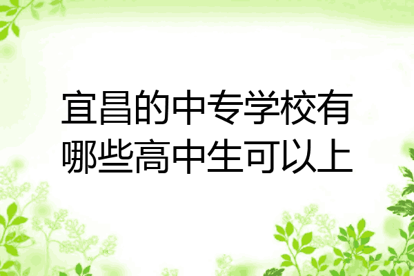 宜昌的中专学校有哪些高中生可以上