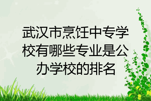 武汉市烹饪中专学校有哪些专业是公办学校的排名