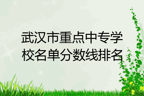 武汉市重点中专学校名单分数线排名