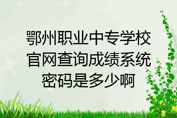 鄂州职业中专学校官网查询成绩系统密码是多少啊