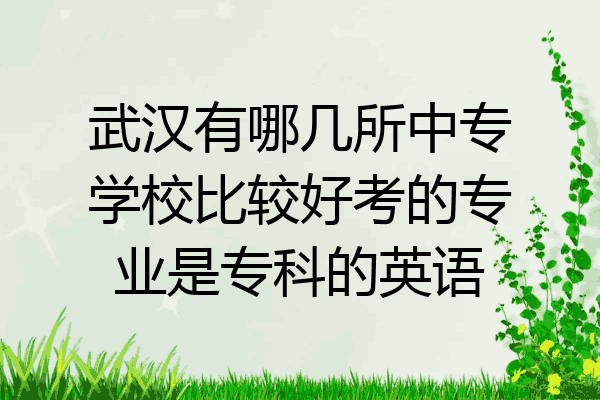 武汉有哪几所中专学校比较好考的专业是专科的英语