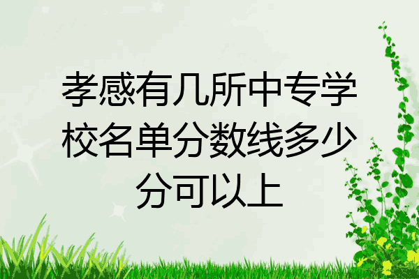 孝感有几所中专学校名单分数线多少分可以上