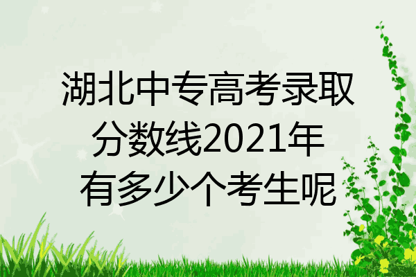 湖北中专高考录取分数线2021年有多少个考生呢