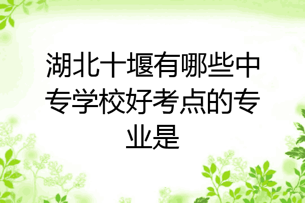 湖北十堰有哪些中专学校好考点的专业是