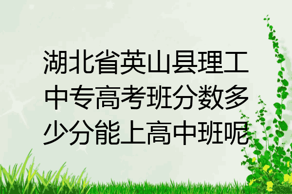 湖北省英山县理工中专高考班分数多少分能上高中班呢