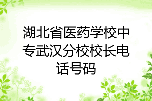 湖北省医药学校中专武汉分校校长电话号码