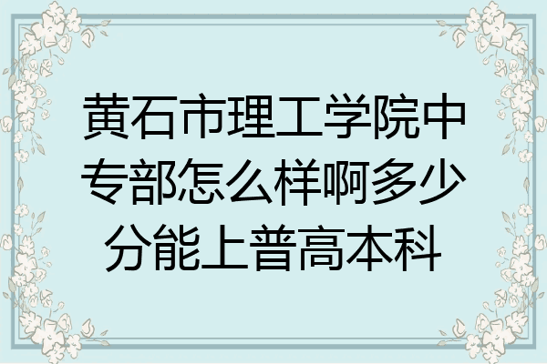 黄石市理工学院中专部怎么样啊多少分能上普高本科