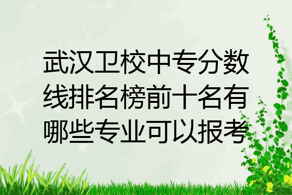 武汉卫校中专分数线排名榜前十名有哪些专业可以报考