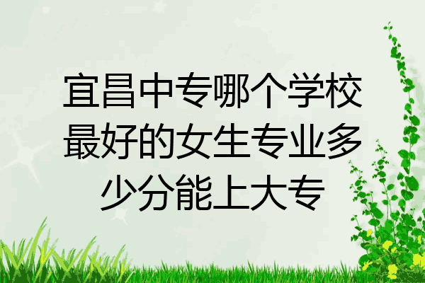 宜昌中专哪个学校最好的女生专业多少分能上大专