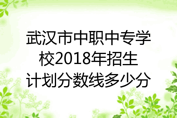 武汉市中职中专学校2018年招生计划分数线多少分