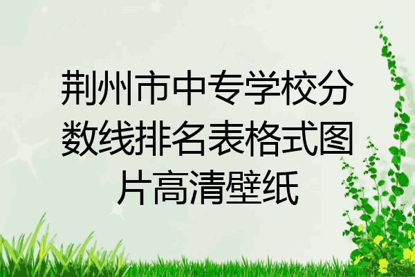 荆州市中专学校分数线排名表格式图片高清壁纸
