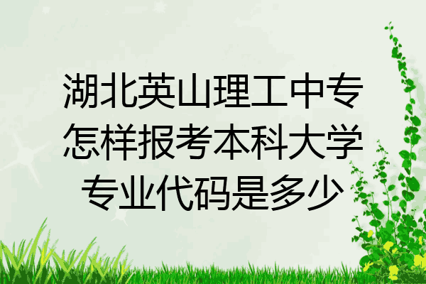湖北英山理工中专怎样报考本科大学专业代码是多少
