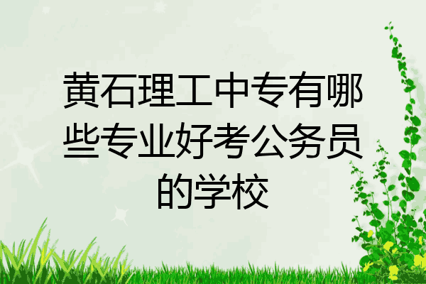 黄石理工中专有哪些专业好考公务员的学校