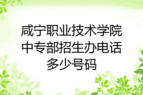 咸宁职业技术学院中专部招生办电话多少号码