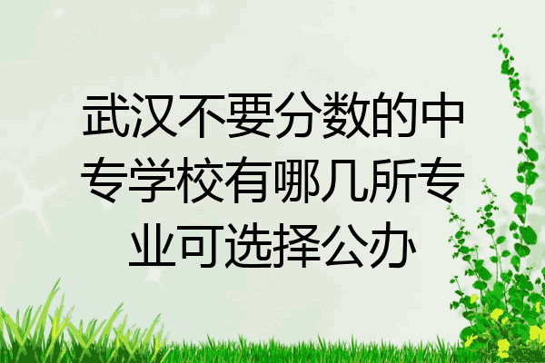 武汉不要分数的中专学校有哪几所专业可选择公办