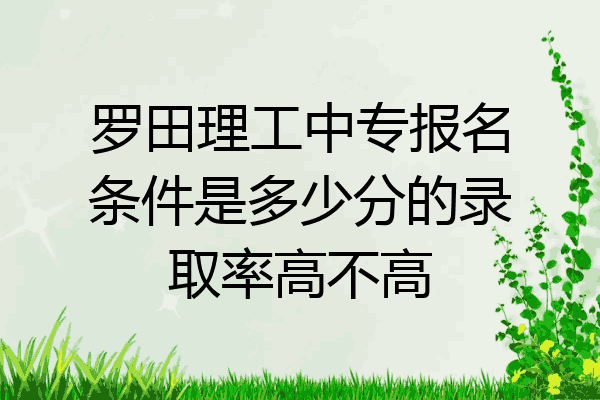 罗田理工中专报名条件是多少分的录取率高不高