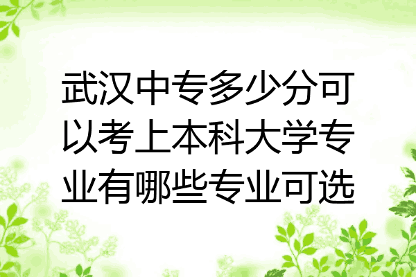 武汉中专多少分可以考上本科大学专业有哪些专业可选