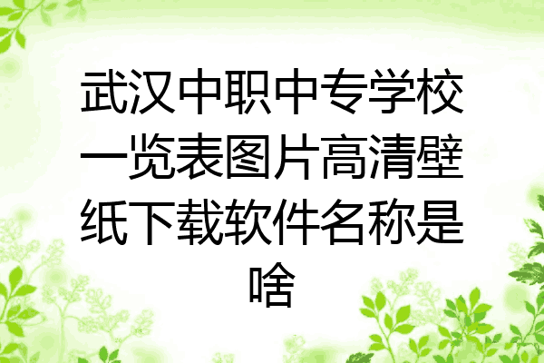 武汉中职中专学校一览表图片高清壁纸下载软件名称是啥