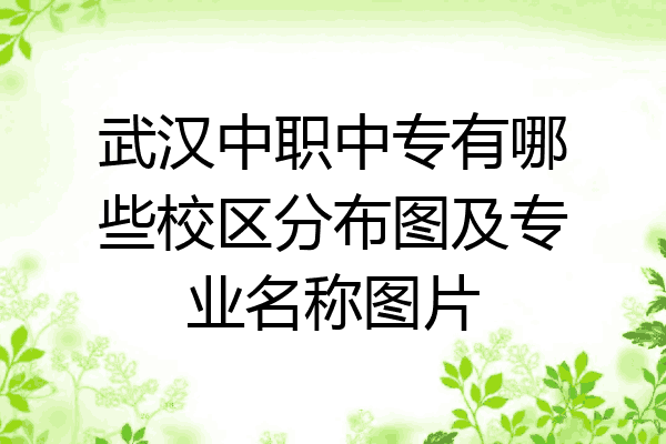 武汉中职中专有哪些校区分布图及专业名称图片