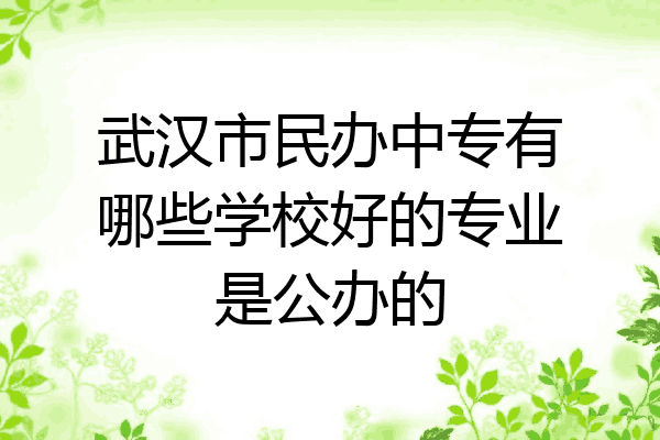武汉市民办中专有哪些学校好的专业是公办的