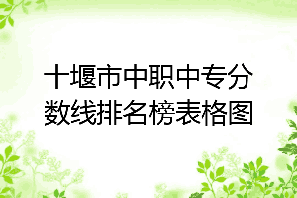 十堰市中职中专分数线排名榜表格图