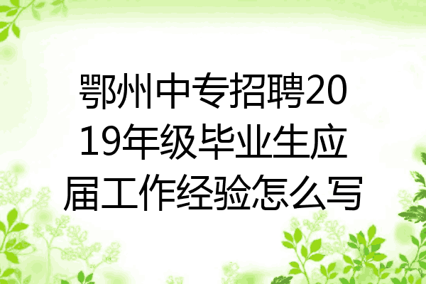 鄂州中专招聘2019年级毕业生应届工作经验怎么写