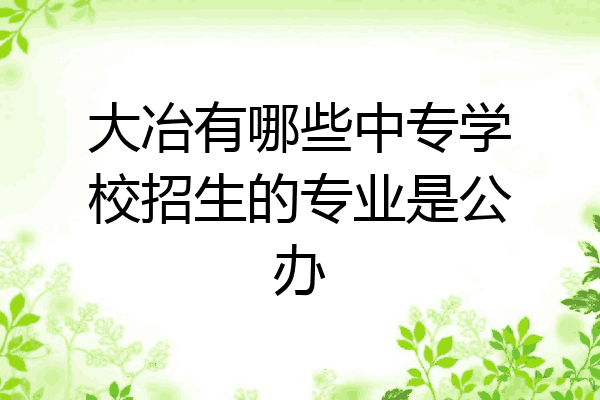 大冶有哪些中专学校招生的专业是公办