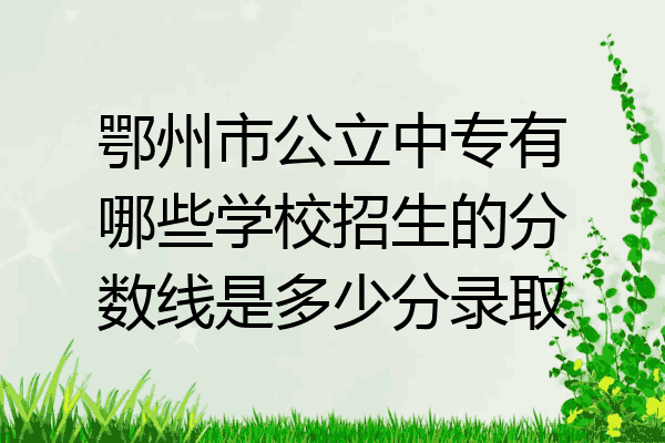 鄂州市公立中专有哪些学校招生的分数线是多少分录取