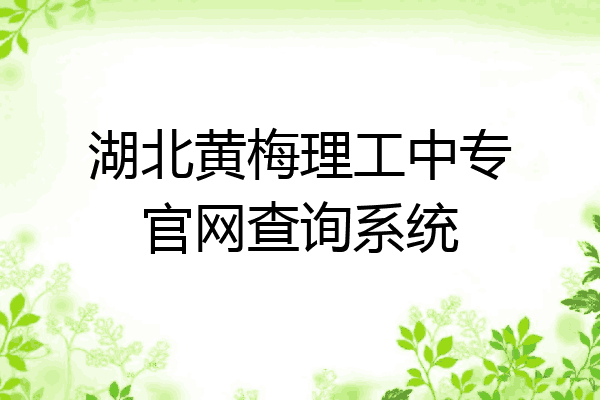 湖北黄梅理工中专官网查询系统