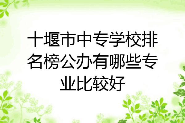 十堰市中专学校排名榜公办有哪些专业比较好