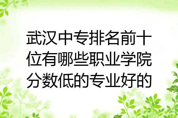 武汉中专排名前十位有哪些职业学院分数低的专业好的