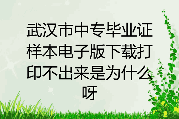 武汉市中专毕业证样本电子版下载打印不出来是为什么呀