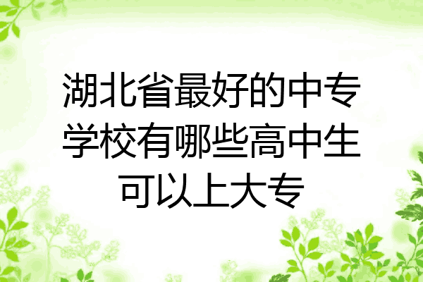 湖北省最好的中专学校有哪些高中生可以上大专