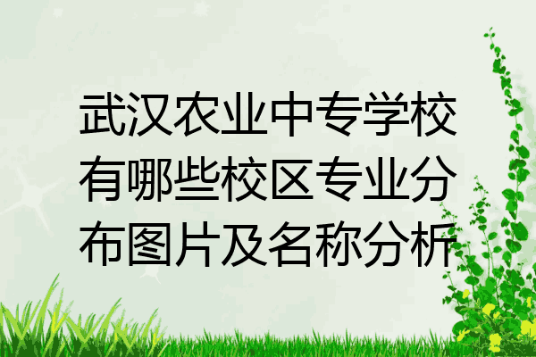 武汉农业中专学校有哪些校区专业分布图片及名称分析