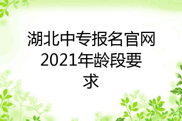 湖北中专报名官网2021年龄段要求