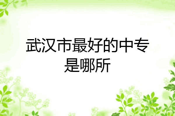 武汉市最好的中专是哪所