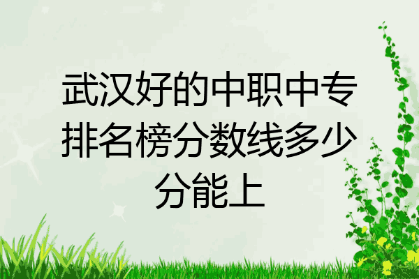 武汉好的中职中专排名榜分数线多少分能上