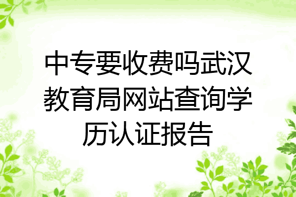 中专要收费吗武汉教育局网站查询学历认证报告